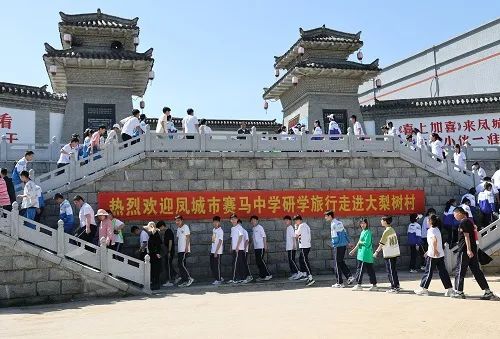 大梨樹村：深度探索&ldquo;研學(xué)+&rdquo; 讓行走的課堂更豐富