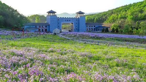 喜報(bào)！鳳城市大梨樹村再獲四項(xiàng)&ldquo;國字號(hào)&rdquo;榮譽(yù)